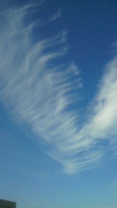 69_rng's profile picture. 主に空写真を載せてます！♪ 
ふらっと寄ってハートを落としていきます☆