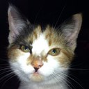 sarah-Jane Maynard - @Sarah166Jane - Twitter