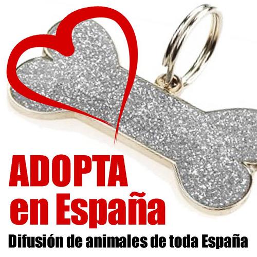 Difusión de Animales de toda España