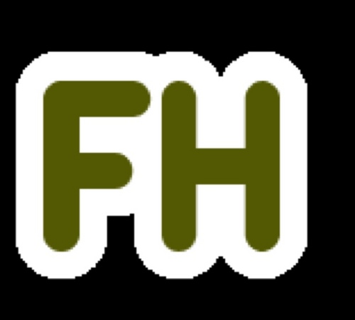 FliphostSupport's profile picture. 