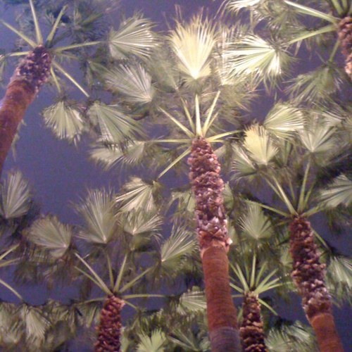 iloveitsecretly's profile picture. 