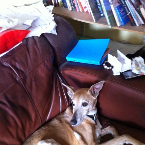 june_lightfoot's profile picture. senior children's librarian (now retired!) Loves books ,reading and music.Relaxing with long walks in country, camping and followingEngland at cricket!