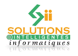 Experts des systèmes d'affaires et financiers, Système de gestion Intégré ERP System, système de sécurité et de Temps, Offrent aux entreprises des solutions pou