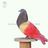 EstebanGarantia's profile image
