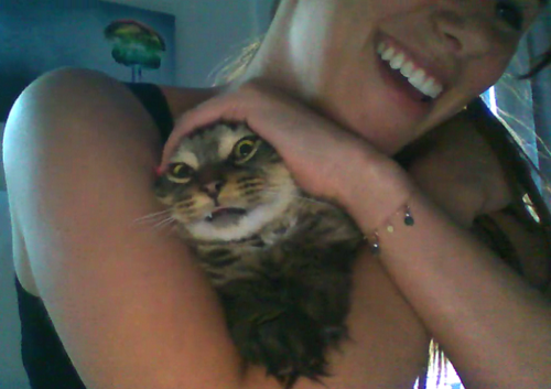 itsthebeans's profile picture. i fucking hate pants. ジリアン