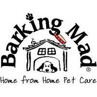 BarkingMadLuis's profile picture. #DogSitting #DogBoarding Service #Alternativetokennels Barking Mad provide Home-from-Home holidays for your dog. Because dogs deserve holidays too! Luis Saraiva