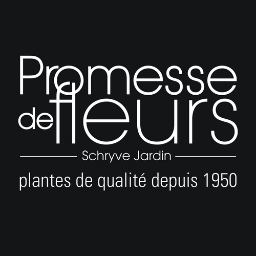 Spécialiste de la plante de jardin depuis 1950, Promesse de Fleurs propose une gamme complète de vivaces, arbustes, plantes grimpantes, bulbes à fleurs, gaines.