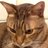 micchieandgom's profile image