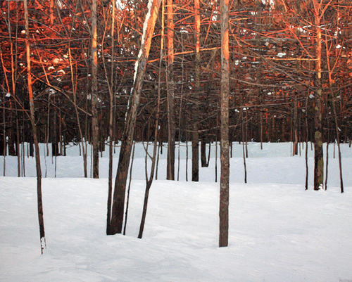 We are Peter Rotter, David Lidbetter, Stewart Jones, Laurie DeCamillis. Toronto based painters of contemporary Canadian Imagery and Ideology.