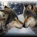 heather mcatee - @samantha1239876 - Twitter