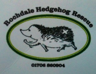 rdalehoggery's profile picture. Registered charity rescuing and caring for sick, injured and orphaned hedgehogs. Founded in 1991 by Sue and Ken Lewis. 

Charity No: 1063457