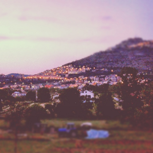 DavideFraioli's profile picture. 