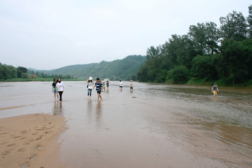naeseong.org 내성천지키기 공식 트위터입니다. 내성천관련 소식을 전해드립니다. 마지막남은 모래강 내성천을 함께 지켜요. Naeseong River is the last natural river in South Korea but Samsung started to damming