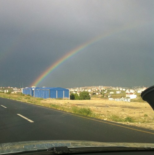 diplodocus_tr's profile picture. 