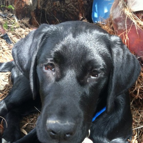 CarneeNapa's profile picture. 