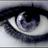 DamaNegra_'s profile image