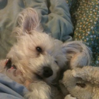 sewfun8's profile picture. 