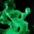 IceUnlimited's profile image