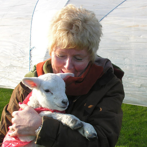 Enthusiastic amateur gardener, garden  blogger and keeper of chickens. Gardens open under the National Gardens Scheme - see blog for details.