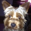 iancu andrei - @iancu_andrei - Twitter