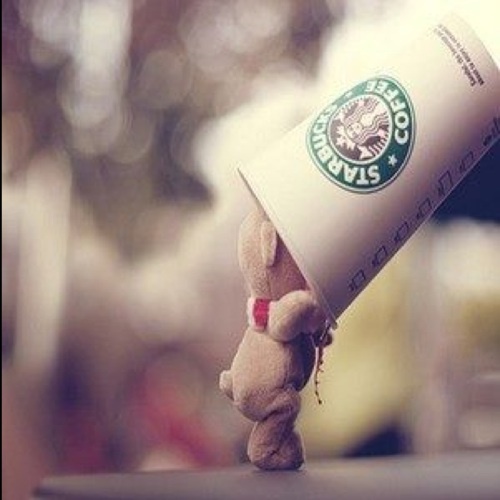 Mispend's profile picture. 夜食界クラスタ/夜食界の使徒/レッドブルガチ勢/夜食界に降り立ったレッドブルより翼を授かりし者/「夜食界は危険な場所だ。幾多の若者がその闇から帰ってこれなくなった」/「夜食界に降り立つ勇気はあるか。おれはある。」