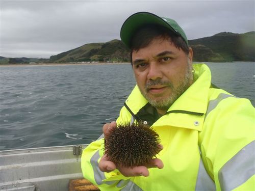 Local Boy, Antiquer and Collector. Considers Aotearoa his second home.