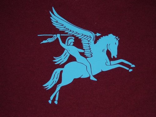 9 Parachute Sqn RE Profile