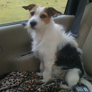 cherie53380's profile picture. 