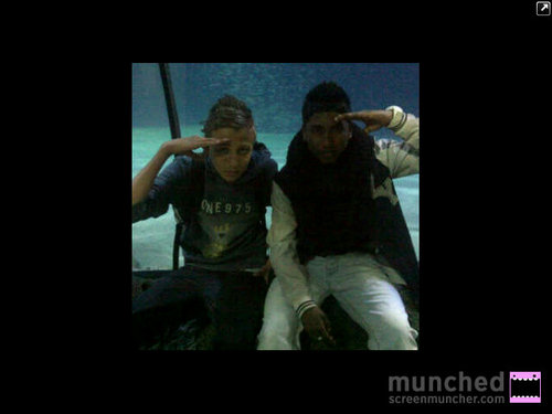 steef__010's profile picture. 