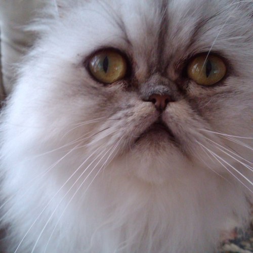 MohawkinsM's profile picture. 