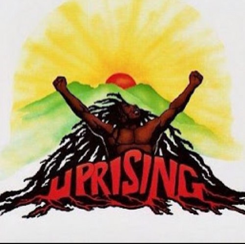 elazeemG's profile picture. 