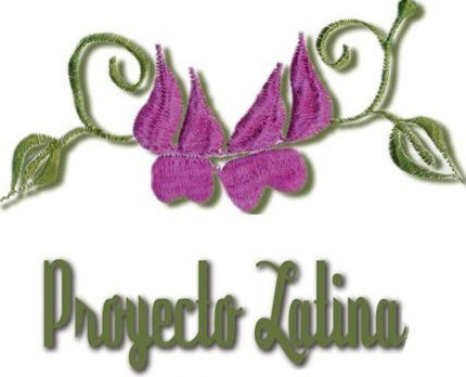 Proyecto Latina is a multi-media project that amplifies the voices of Latinas in the arts and beyond by creating online & offline spaces to tell our stories.