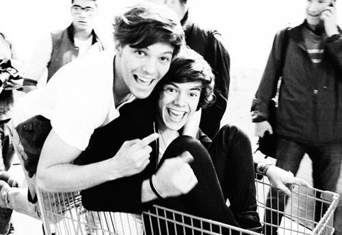 I love Harry, Niall, Louis, Zayn and Liam. If you follow I'll follow back ♥!
