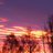 dnhs62124's profile image