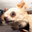 ManuelGTorres's profile image