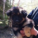 Thomas Piche - @TommyPiche - Twitter