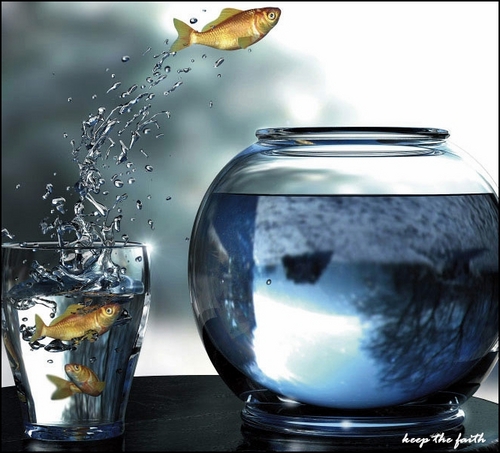 IWAKSemarang's profile picture. Official Ikatan Wirausaha Kaskuser Semarang on twitter ||| selalu berpindah ke kolam yg lebih besar #FIGHT!