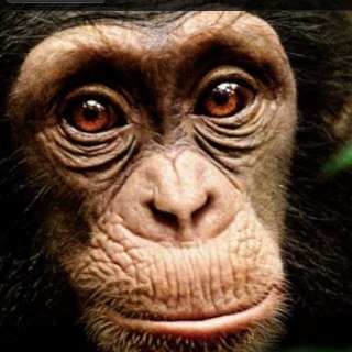 garry_edcu's profile picture. Soy. No siempre puedo estar.
“To never get used to the unspeakable violence and the vulgar disparity of life around you.” A. Roy