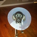 Tom Noll - @tnoll911 - Twitter