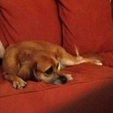 Bill Coffey - @Bill_Coffey - Twitter