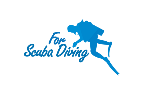 Diving Enthusiast. Website: http://t.co/GV4yTgWt7i
From Snorkeling to Deep Sea Diving we cover the latest info and developments related to all forms of Diving.