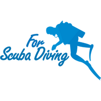 Diving Enthusiast (@forscubadiving) 's Twitter Profile