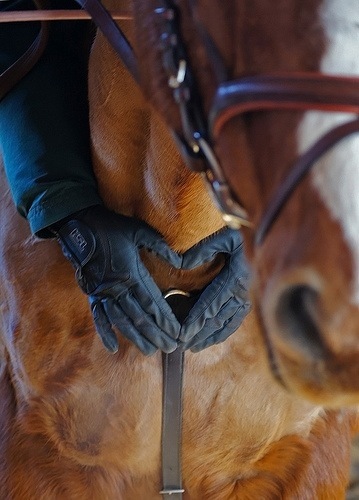 EnglishProbs's profile picture. 