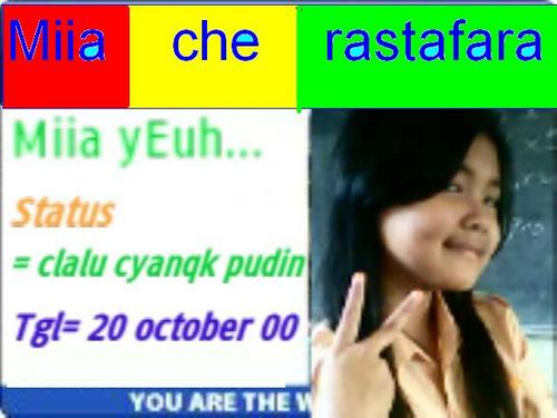 pudintc's profile picture. 