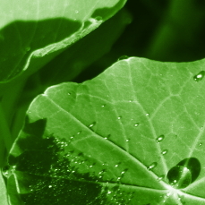 I'm finding ways to live a more sustainable, greener life and saving money doing it. My blog http://t.co/WhI7FBqioa is where I share my discoveries.