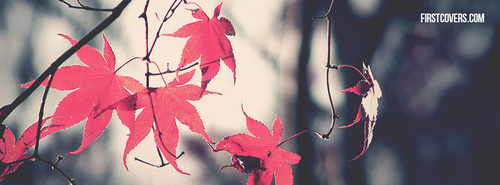 goodandplenty88's profile picture. 