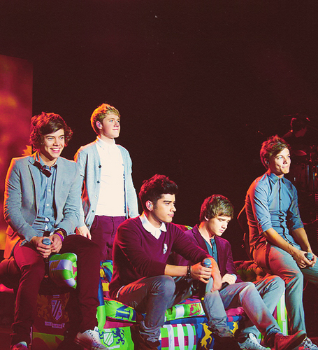 VEGEMITE_1D's profile picture. FOLLOW US BACK!
one direction have turned our lives upside down! we just want at least one of the boys to follow us, and won't give up til we do.