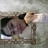n4zwa's profile image