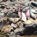 Jeremy lo - @lo3mr - Twitter