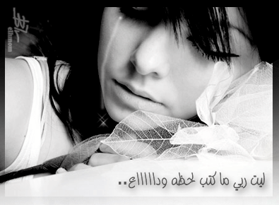 AngemOrtelle1's profile picture. زمان القهر علمنا بأن الحب سلطان بلا أوطان.. 
وأن ممالك العشاق أطلال وأضرحة من الحرمان ..